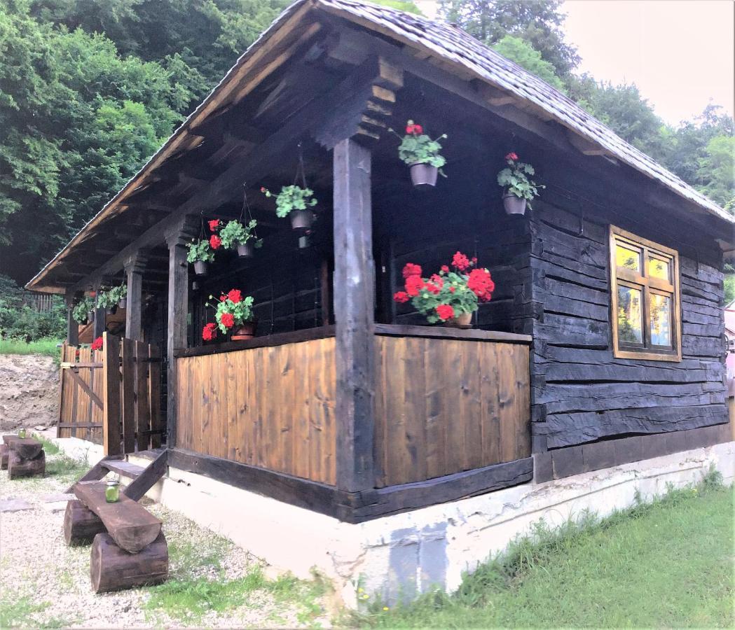 Casuta Din Valea Regilor Villa Gradistea de Munte Exterior photo