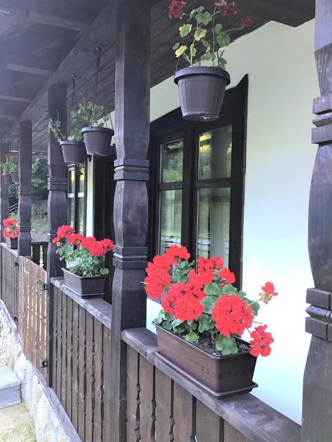 Casuta Din Valea Regilor Villa Gradistea de Munte Exterior photo