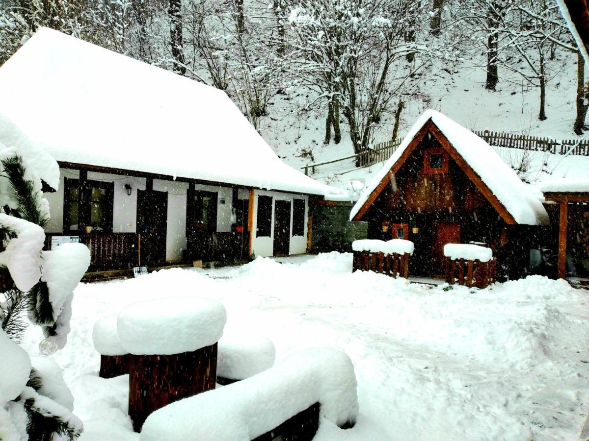 Casuta Din Valea Regilor Villa Gradistea de Munte Exterior photo