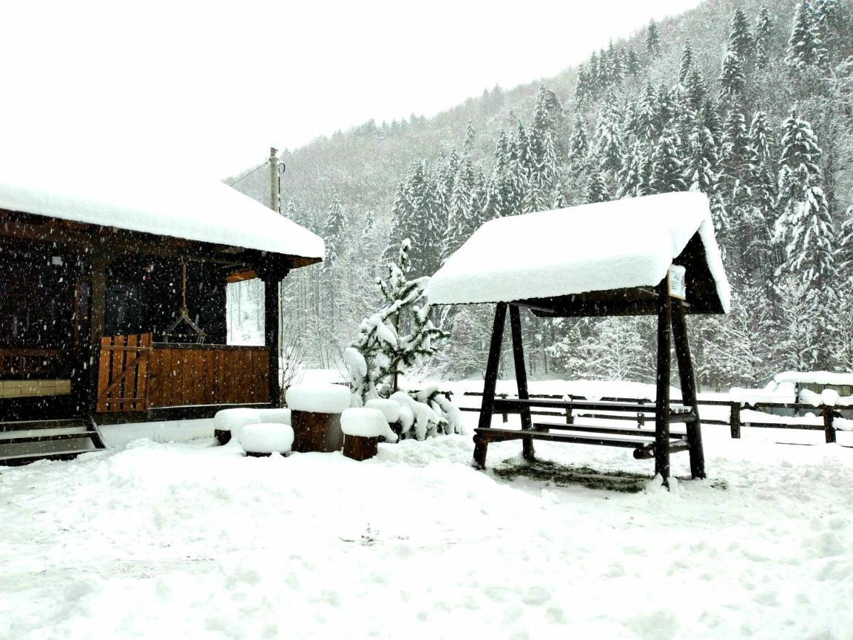 Casuta Din Valea Regilor Villa Gradistea de Munte Exterior photo